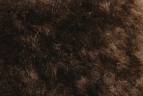 Artikel-Variation: 9019 