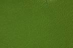 Artikel-Variation: Farbe-Spring 