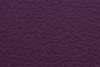 Artikel-Variation: Farbe-Winner-Violett 