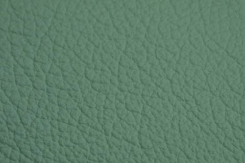 Objekt - Möbelleder - Ariana - Bild: Farbe-Spring-Mint