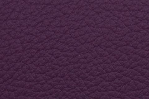 Objekt - Möbelleder - Ariana - Bild: Farbe-Winner-Violett