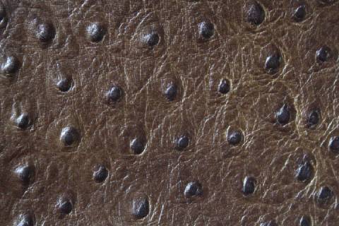 Kalbleder mit Straussprägung - Bild: Farbe-Braun