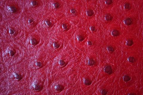 Kalbleder mit Straussprägung - Picture: Farbe-Rosso