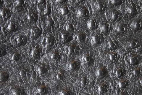 Kalbleder mit Straussprägung - Bild: Farbe-Schwarz