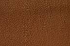 Artikel-Variation: Farbe-Hellbraun-253 