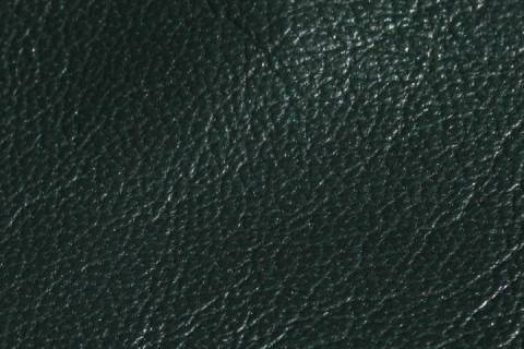 Lammnappa Blouse - Picture: Farbe-Green