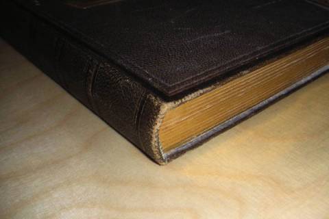 Leder - Restauration - Tagebuch - Picture: A2
