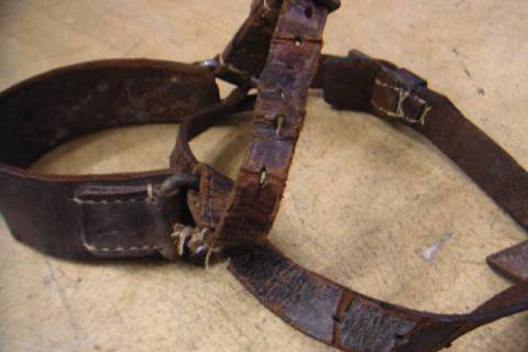 Leder - Restauration - Lederrestaurationen - Picture: A2