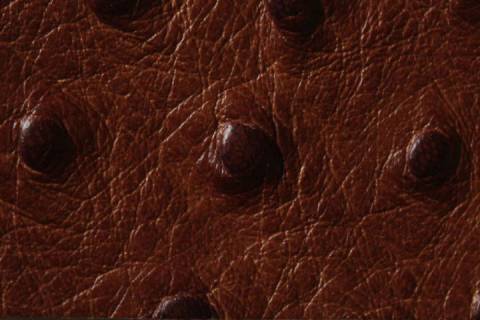Kalbleder mit Straussprägung - Picture: Farbe-Brandy